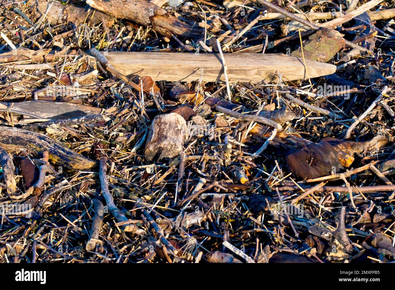 Nahaufnahme eines hölzernen Zaunpfeilers, der mit einer Masse anderen Treibholzes an der Hochwasserlinie eines Strandes angespült wurde. Stockfoto