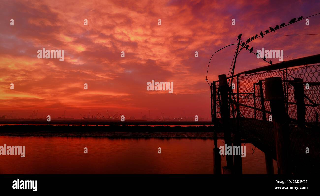 Taubensilhouette über einer Fischerhütte (Pialassa dei Piomboni) Stockfoto