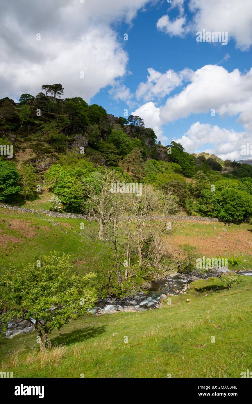 CWM Llan im Snowdonia-Nationalpark, Nordwales. Frühlingssonne auf dem felsigen Bach unter den Wasserfällen auf dem Watkin Path. Stockfoto