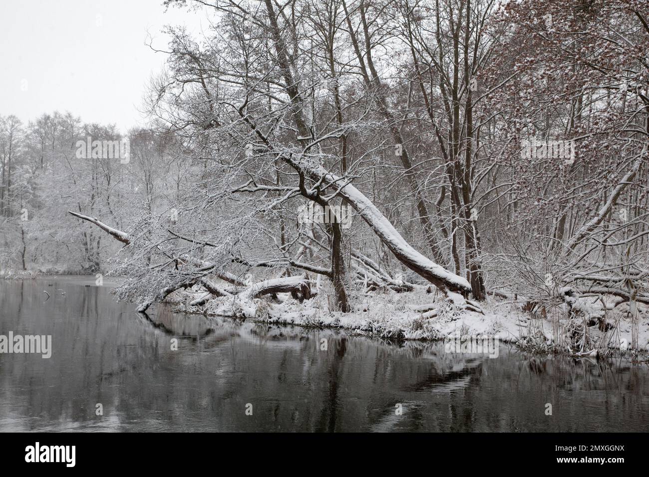 Radunia (rzeka), Pruszcz Gdanski Stockfoto
