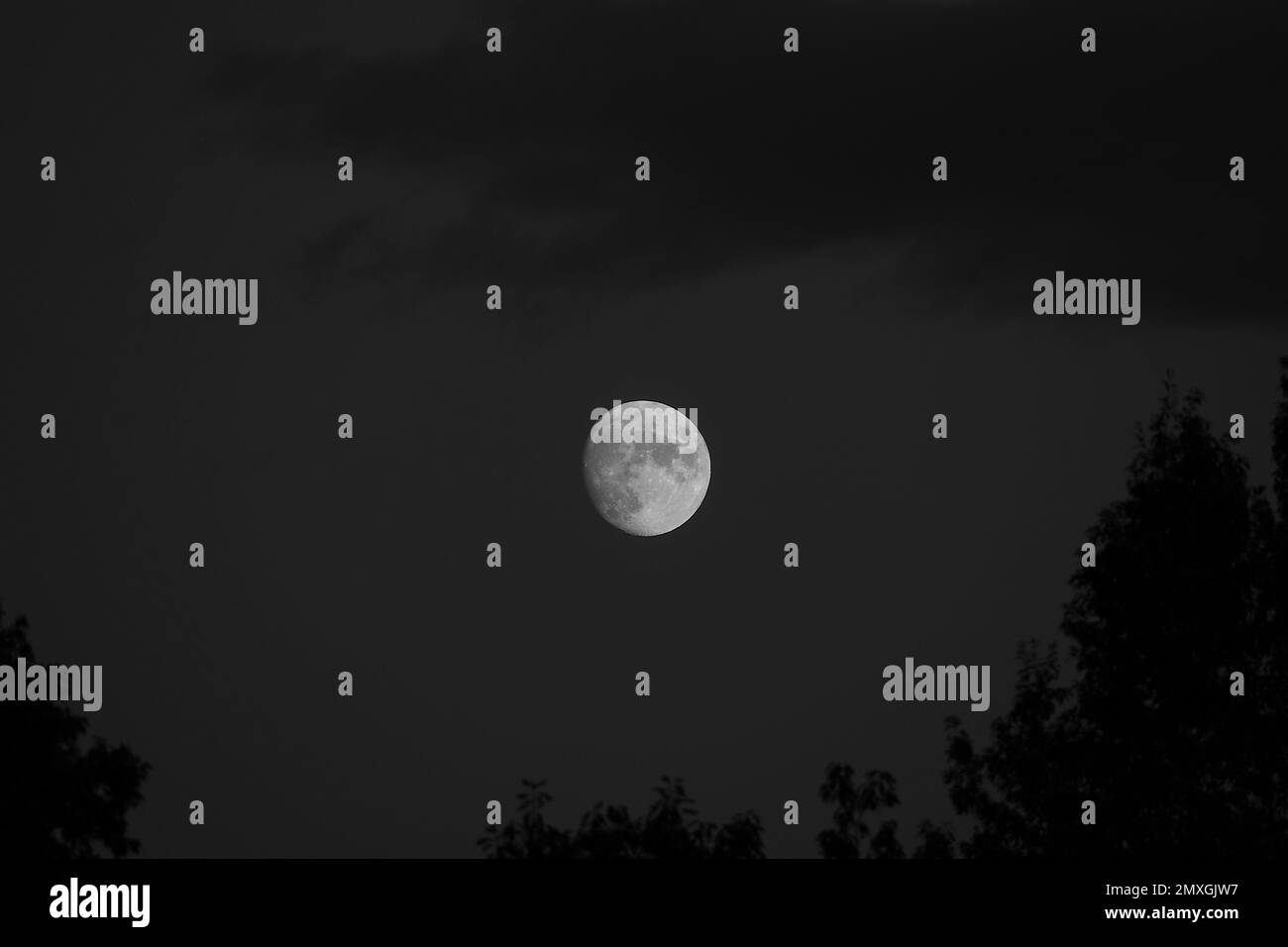 Ein wunderschöner Blick auf einen Vollmond im dunklen Himmel über dem Feld Stockfoto