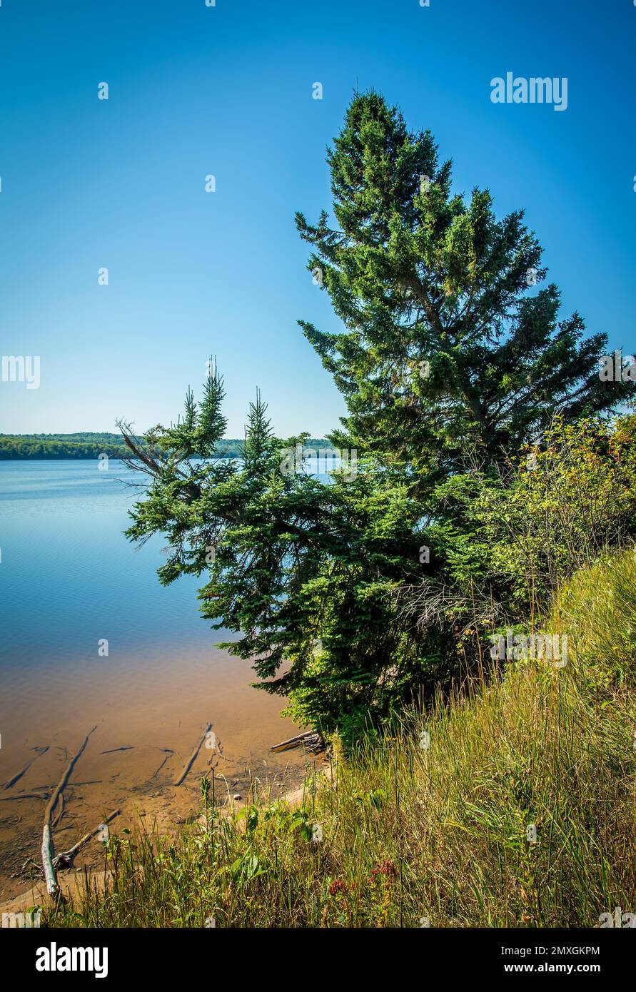 Hügel Ufer See Fluss Kiefer Baumlinie Michigan HOCH Stockfoto