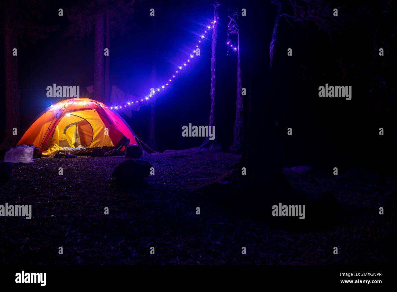 Das Touristenzelt der Reisenden leuchtet nachts in den Bäumen mit Girlanden in kompletter Dunkelheit. Stockfoto