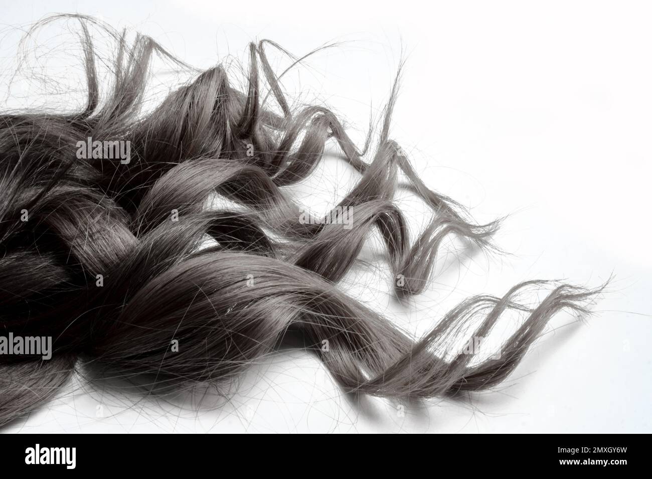 Graue Asche-Oma-Haarfarbe auf lockigem, langem Haar. Stockfoto