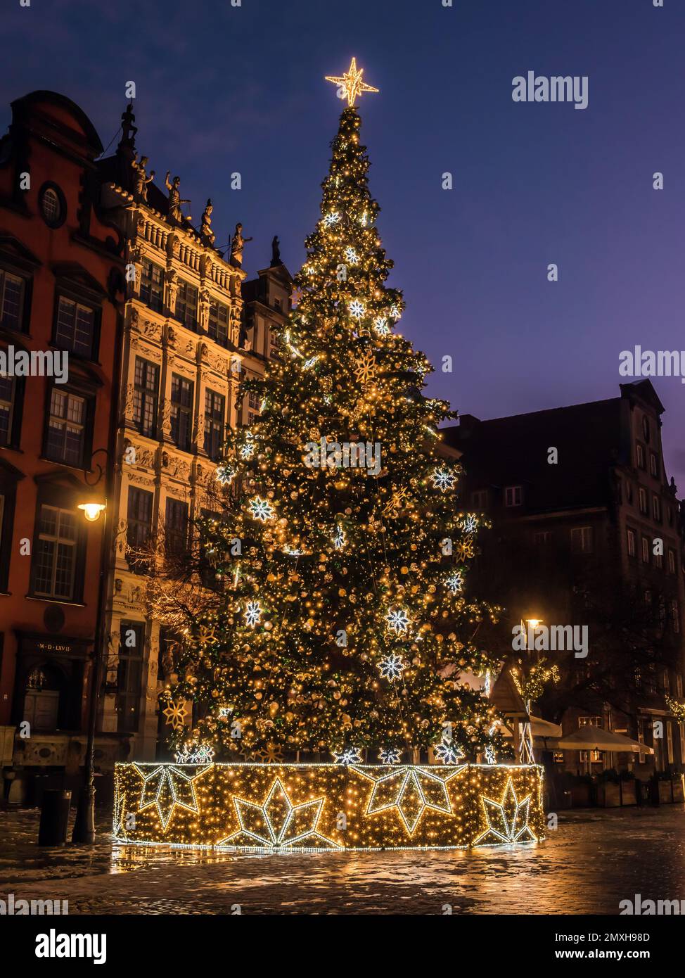 Riesiger Weihnachtsbaum neben dem Neptun-Brunnen, der Altstadt, Danzig, Polen Stockfoto
