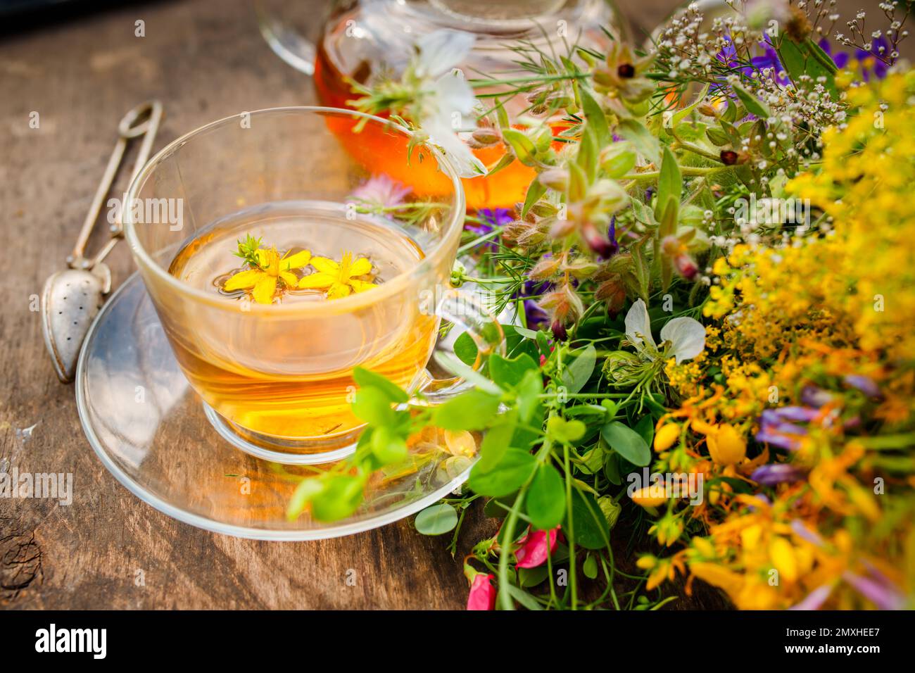 Sommerlicher gesunder Kräutertee in einer Glas-Teekane und Kräuterbündel auf Holzbrett. . Phytotherapie. Kräutermedizin Stockfoto