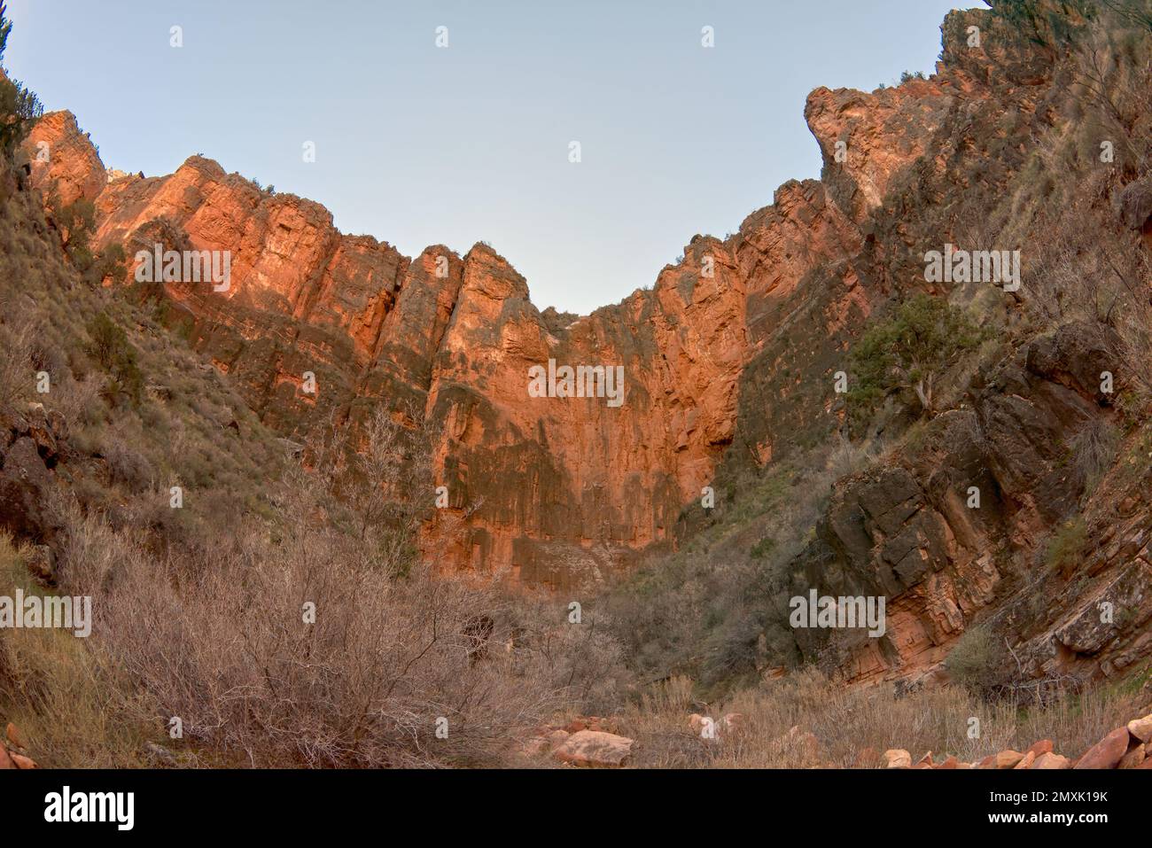 Die Felswände von Garden Spring, die den Garden Creek im Bright Angel Canyon im Grand Canyon Arizona speisen. Stockfoto