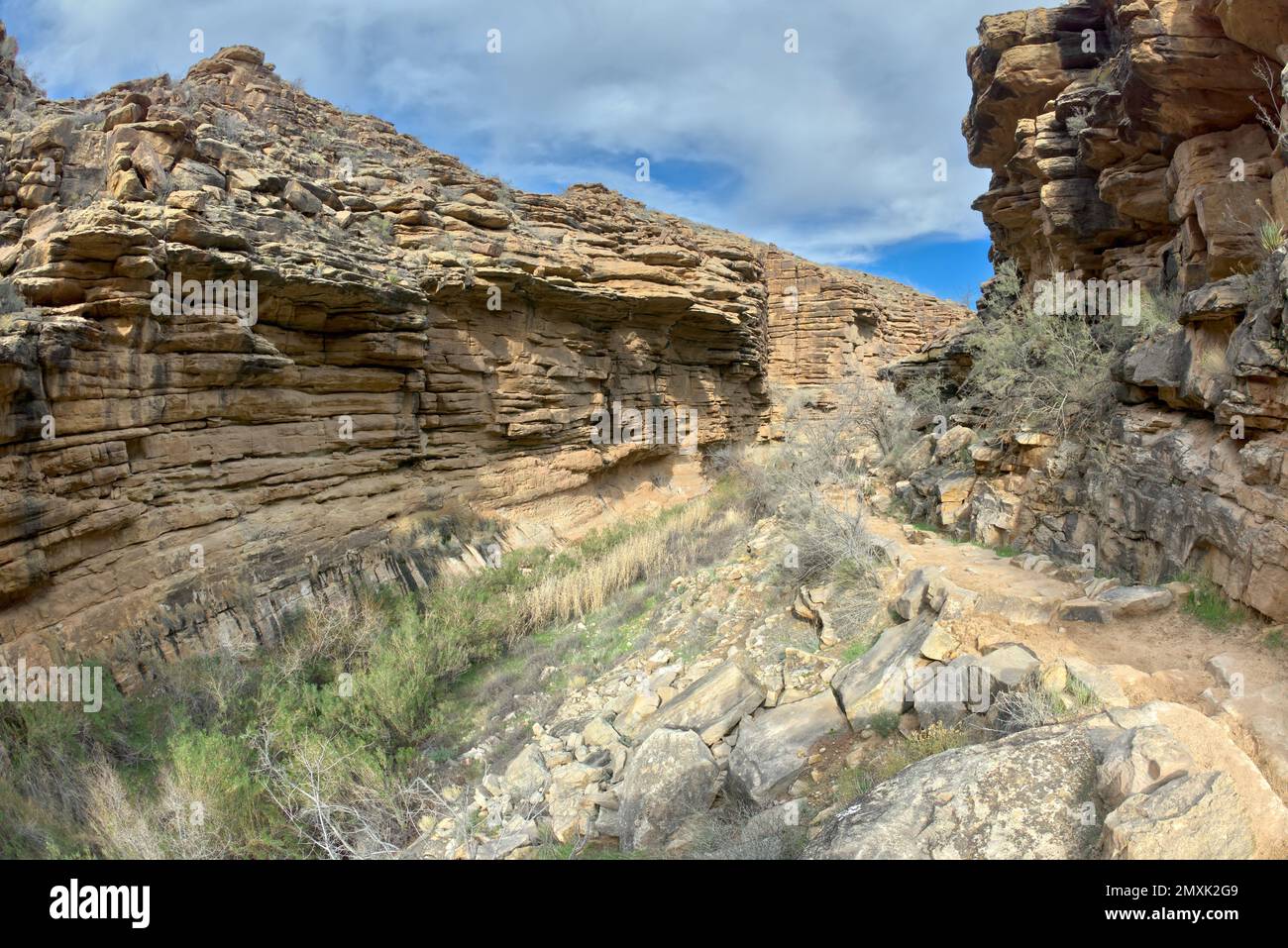 Blick auf den Garden Creek Canyon am Bright Angel Trail im Grand Canyon Arizona. Stockfoto