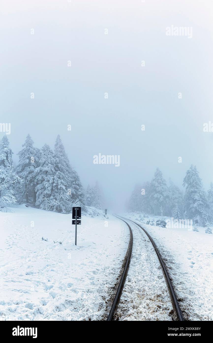 Bahngleise der Brockenbahn in verschneiter Landschaft, Nebel, Harz-Nationalpark, Schierke, Wernigerode, Harz County, Sachsen-Anhalt, Deutschland, Europa Stockfoto