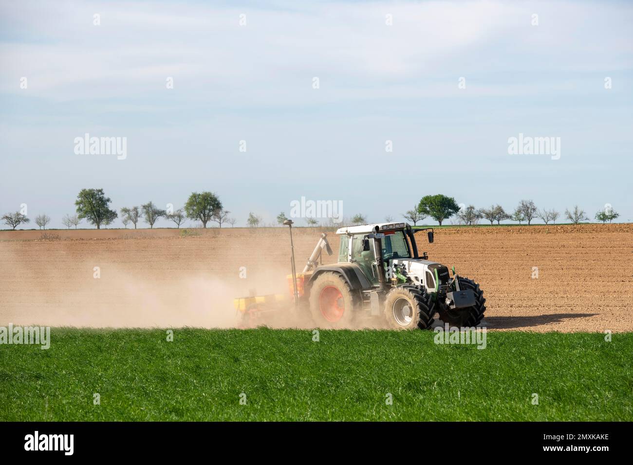 Traktor mit Saatbohrer im Feld im Frühjahr, Baden-Württemberg, Deutschland, Europa Stockfoto
