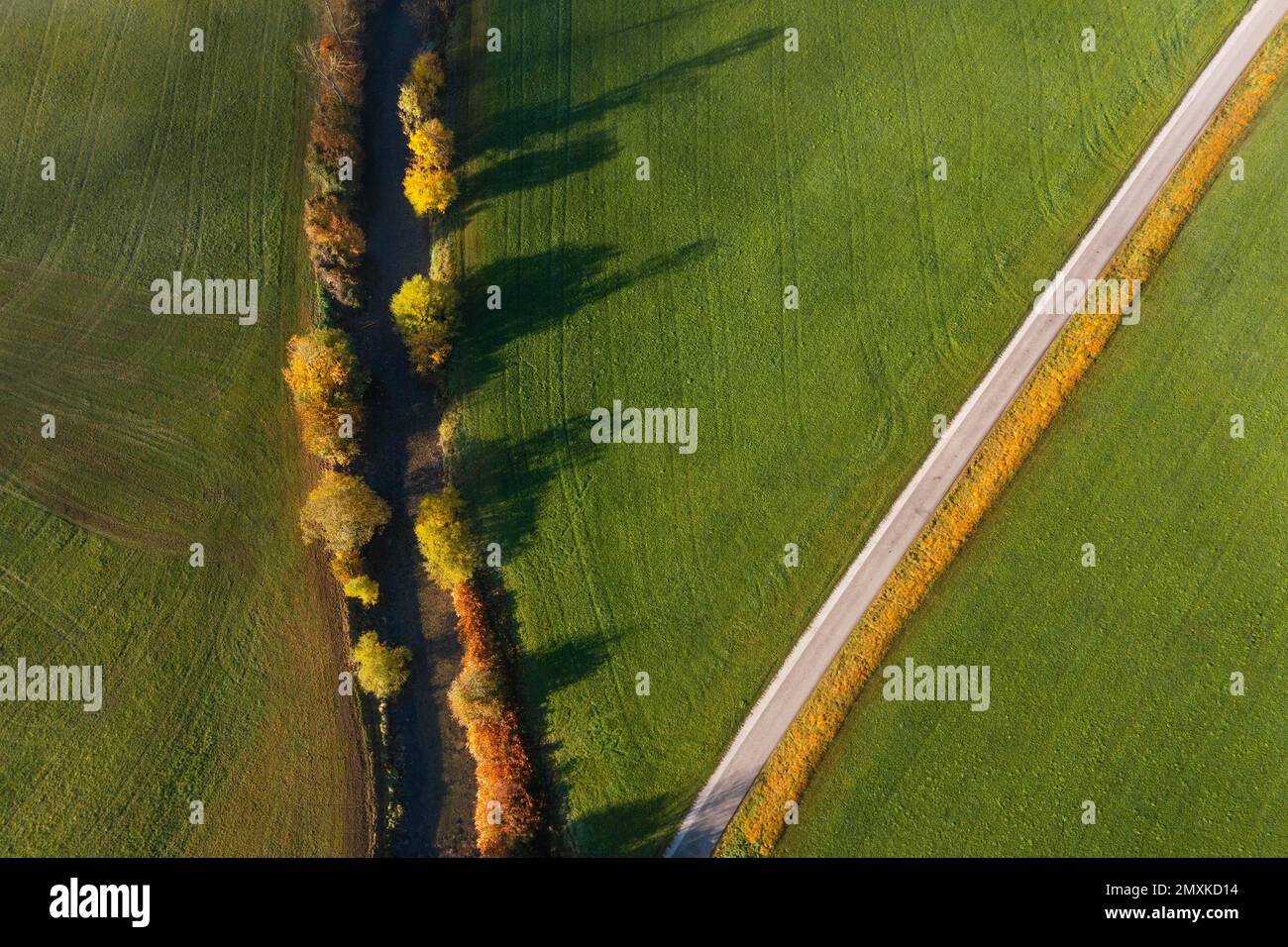 Drohnenschuss, Flusslauf mit bunten Bäumen und Landstraße, Fuschlerache, Mondseeland, Mondsee, Salzkammergut, Oberösterreich, Österreich, Europarat Stockfoto