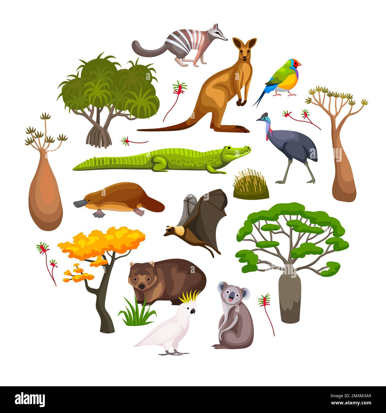 Flora und Fauna Australiens flache runde Komposition mit Wildtieren, Vögeln und exotischen Pflanzen Vektorgrafik Stock Vektor