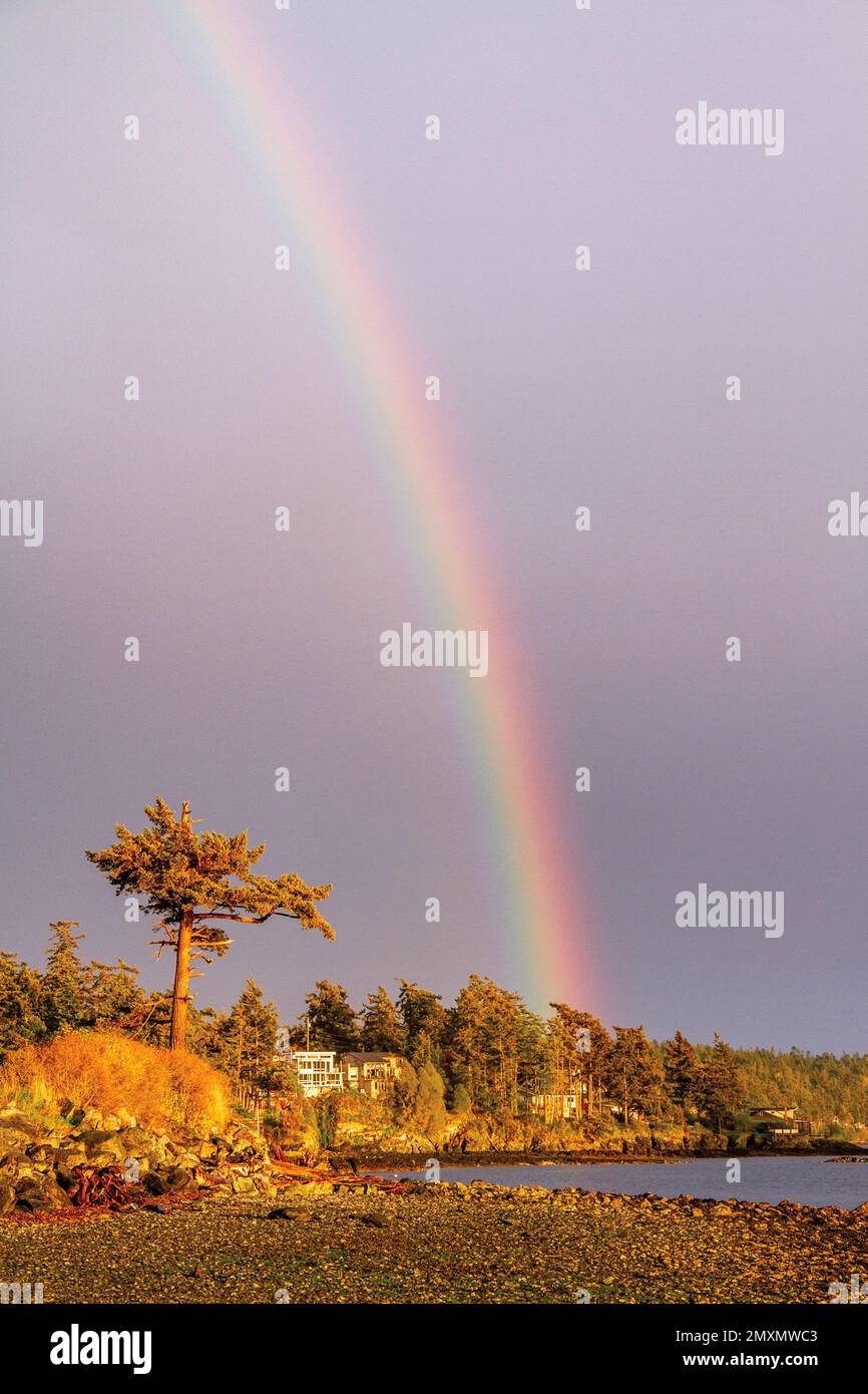 Pazifischer Nordwesten natürlicher Regenbogen (2014) Stockfoto
