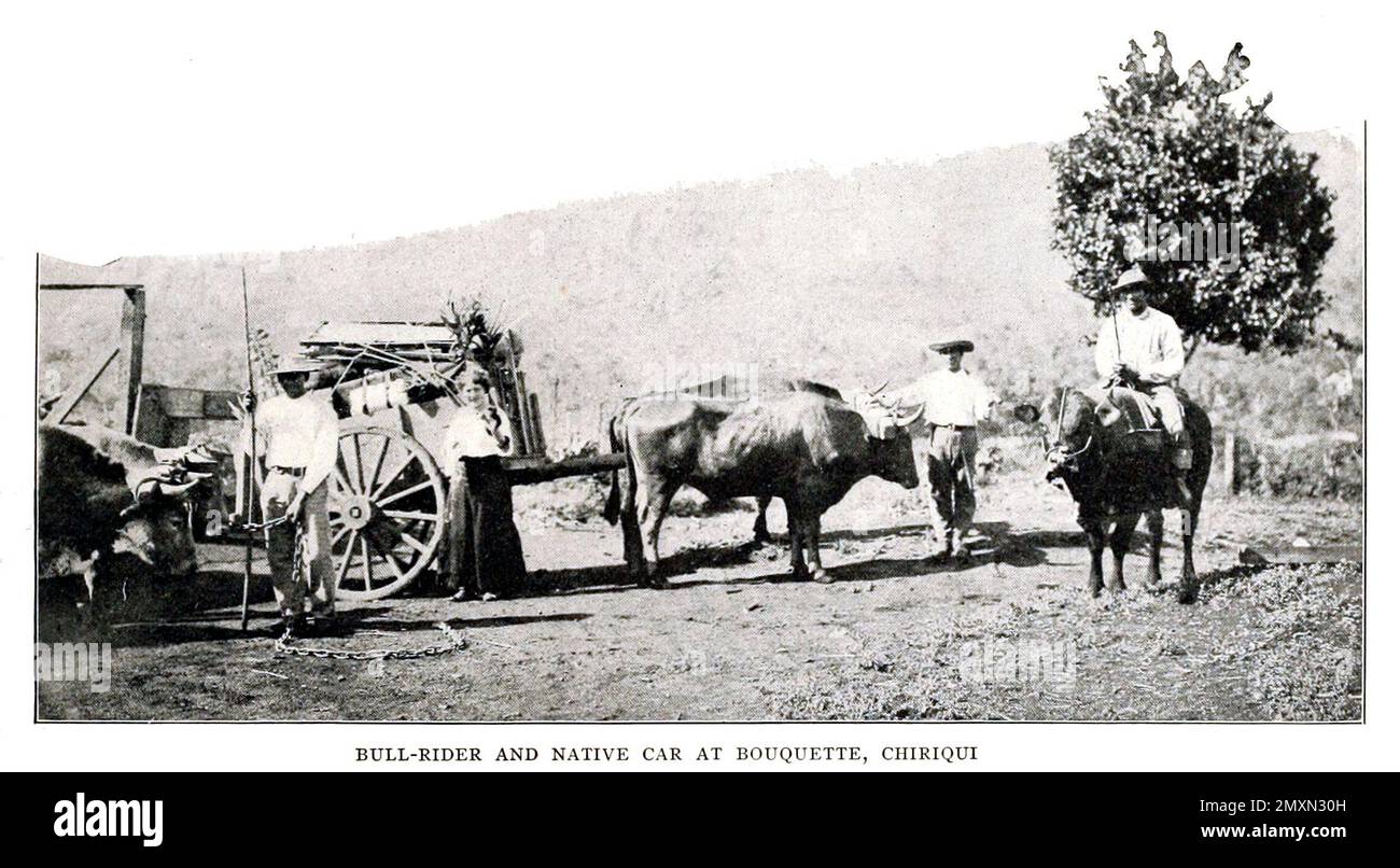 Bull-Rider and Native Car in Bouquette, Chiriqui aus dem Buch Panama and the Canal in Picture and Prose : Eine vollständige Geschichte von Panama, sowie die Geschichte, der Zweck und das Versprechen seines weltberühmten Kanals, das gigantischste Ingenieurbüro seit Anbeginn der Zeit von Willis John Abbot, 1863-1934 Veröffentlicht in London; New York von Syndicate Publishing Co. Im Jahr 1913 Stockfoto