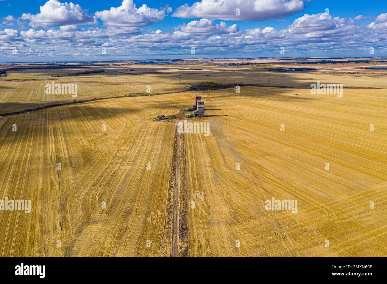 Ein Blick auf die Lepine Grain Elevators im gelben Feld unter dem Sonnenlicht Stockfoto