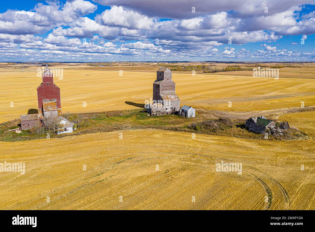 Ein Blick auf die Lepine Grain Elevators im gelben Feld unter dem Sonnenlicht Stockfoto