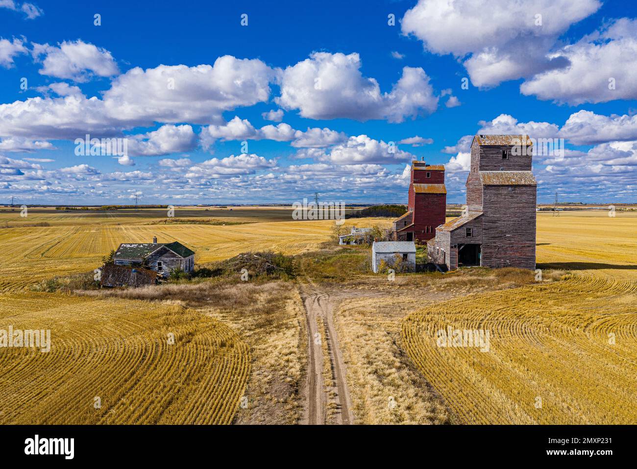 Ein Blick auf die Lepine Grain Elevators in den gelben Feldern unter dem Sonnenlicht Stockfoto