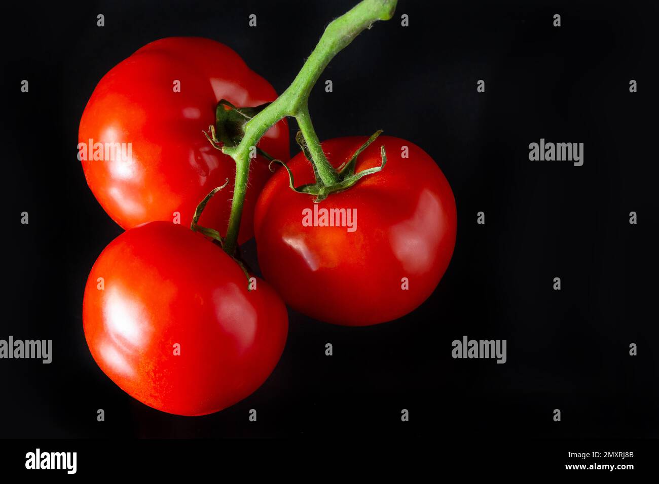 Rote reife Tomaten mit leuchtenden Wassertropfen. Frische appetitanregende natürliche Antioxidantien in leckeren Tomaten. Ein Haufen Tomaten, isoliert auf schwarzem Rücken Stockfoto