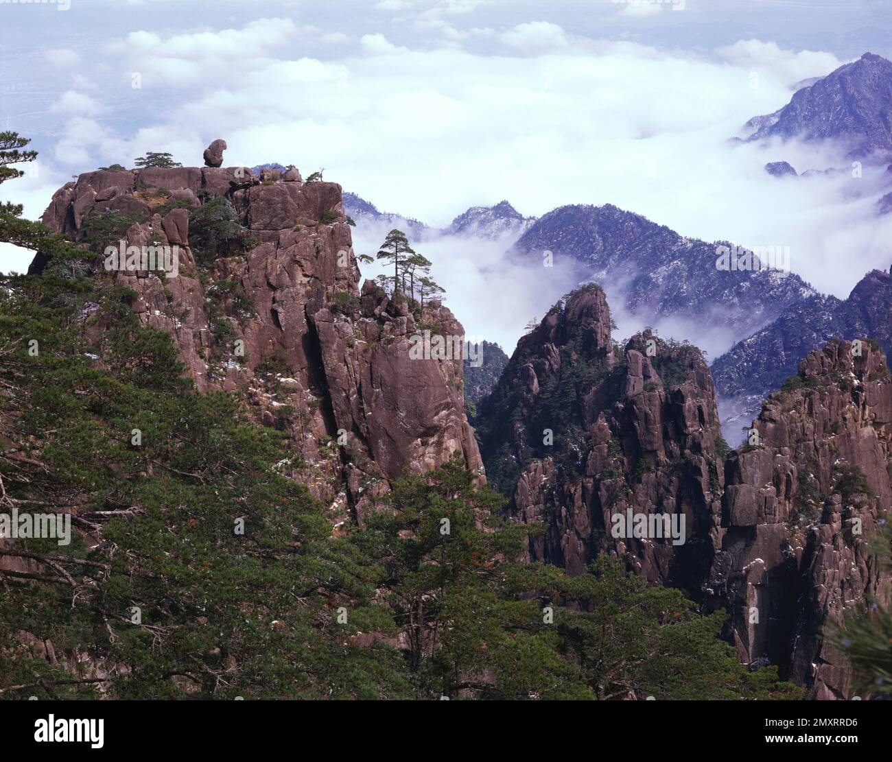 Anhui-huangshan-Steinaffen mit Blick auf das Meer Stockfoto