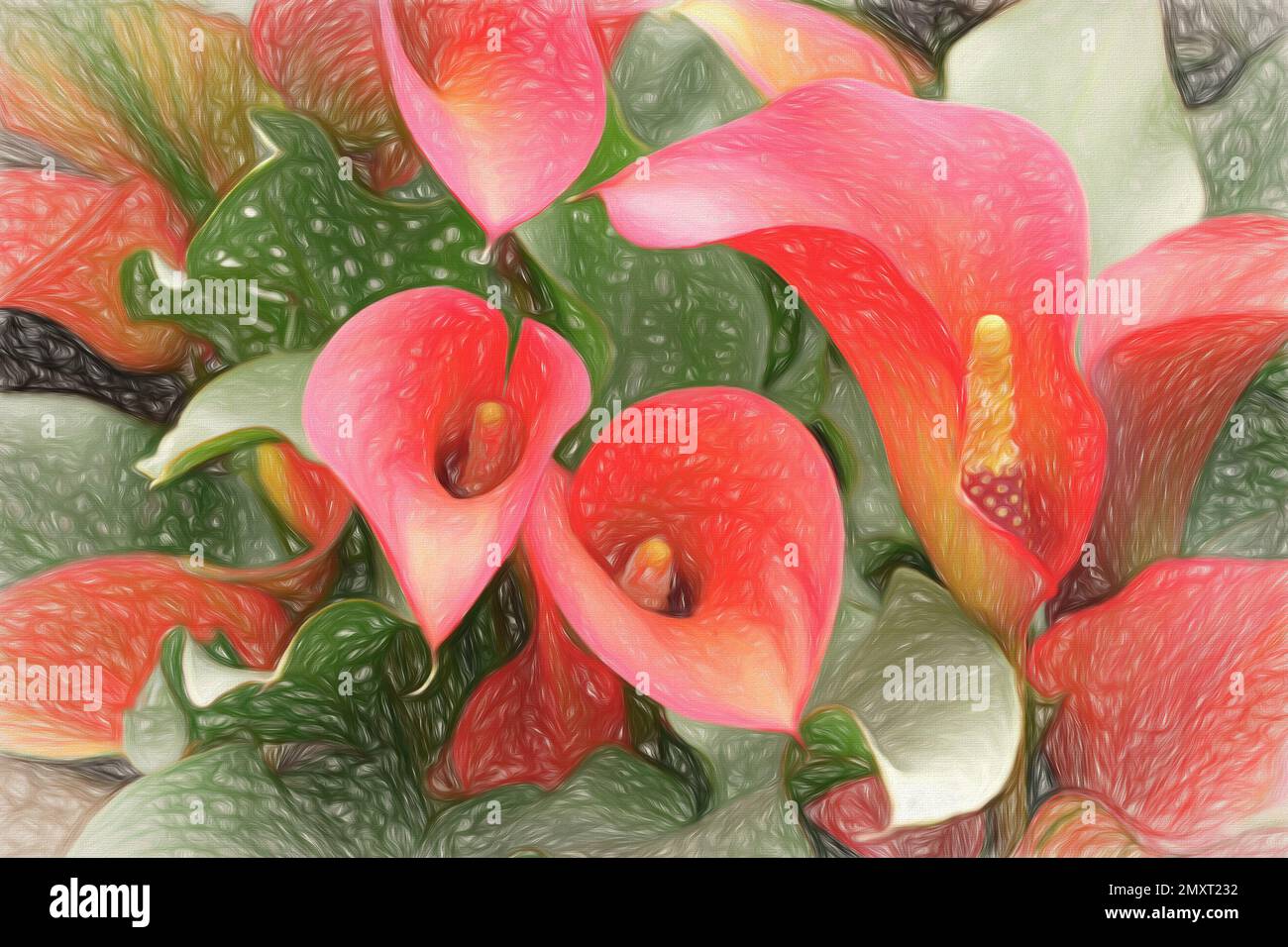 Calla Lily ist ein gebräuchlicher Name mehrerer Mitglieder der Familie Araceae..nere ist eine künstlerische Interpretation seiner Blumen und Blätter. Stockfoto