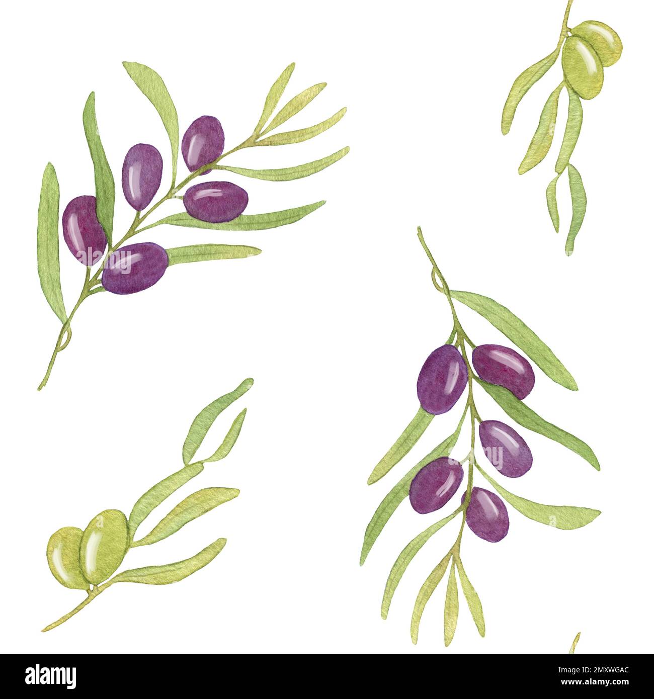 Aquarell Violett Olive Nahtloses Muster. Abbildung Mit Olivästen. Design für Cover, Schreibwaren und Tapeten. Stockfoto