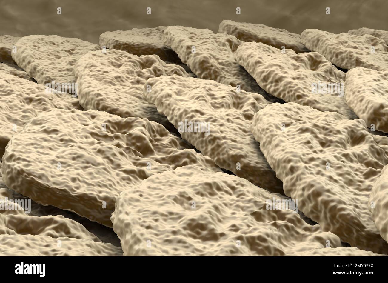 Gesunde menschliche Haut (Epidermis) Oberfläche - Nahaufnahme 3D Abbildung Stockfoto