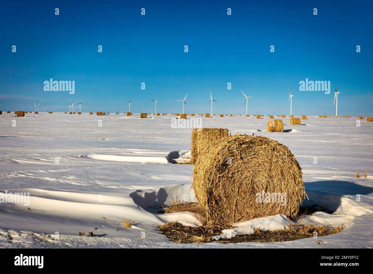 Rundballen aus Heu und Windturbinen auf einem schneebedeckten Feld in der Nähe von Limon, Colorado. Stockfoto
