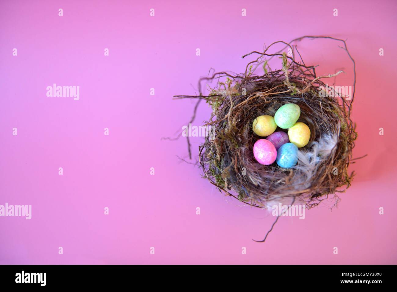 Horizontales Foto mit Kopierraum links von künstlichen Eiern in einem echten Nest. Stockfoto
