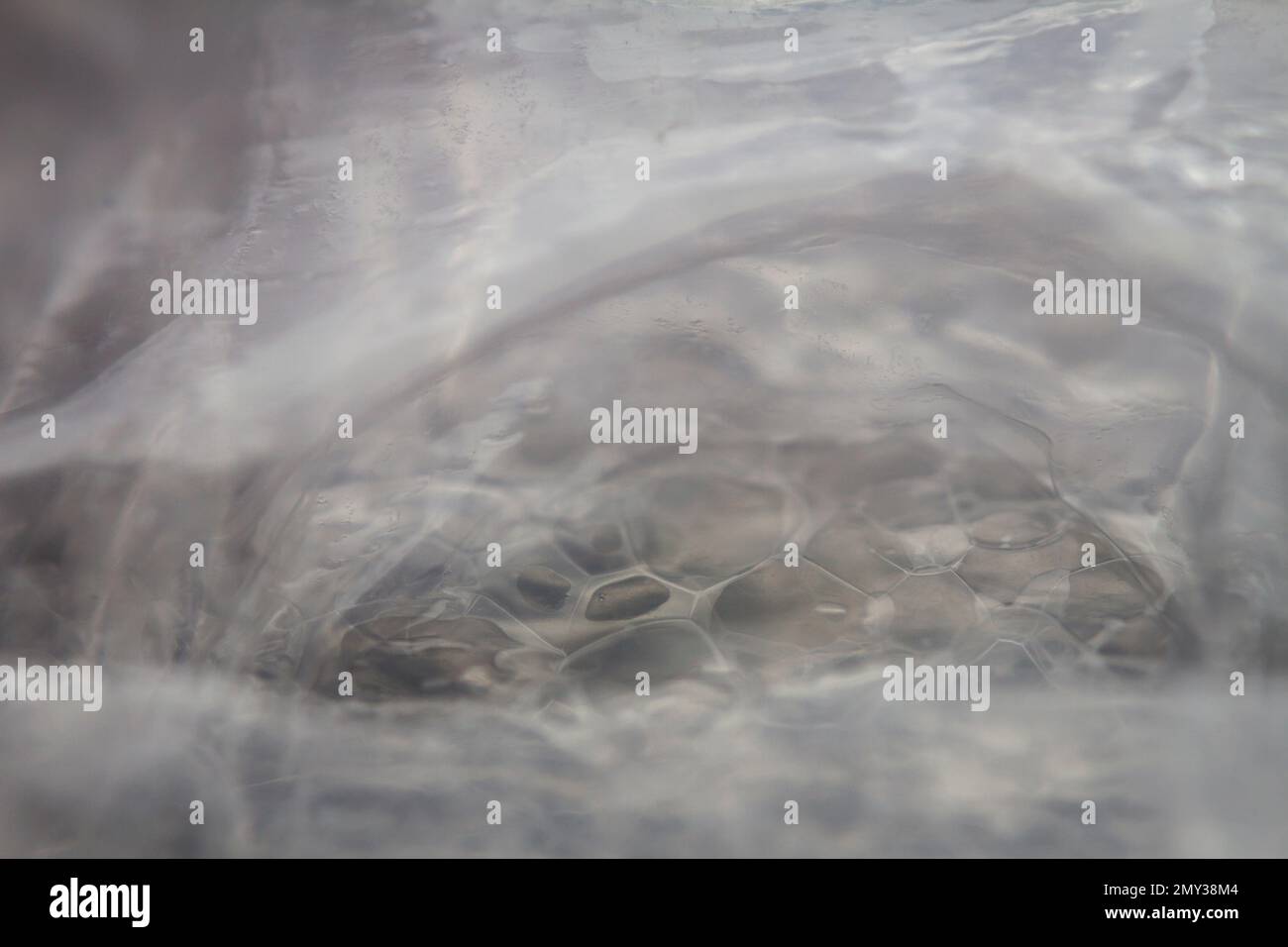 Extreme Makro der Kunststoff Luftpolsterfolie Textur. Selektiver Weichfokus, geringe Schärfentiefe. Abstrakter, verträumter Hintergrund Stockfoto