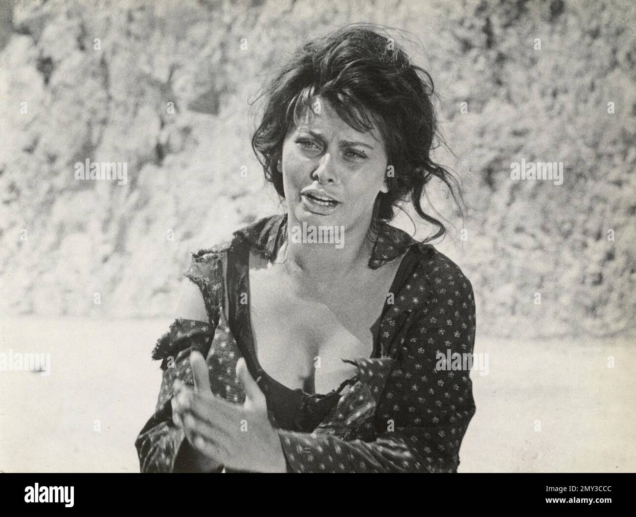 Stilvolle Filme Sophia Loren Bild