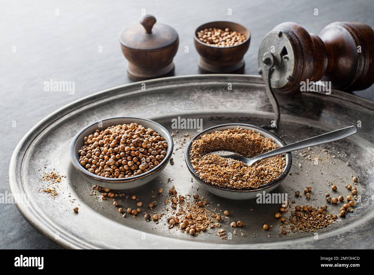 Organisch getrocknete Koriandersamen (Coriandrum sativum) und Pulver auf rustikalem Hintergrund. Gesunde Ernährung, indische Gewürze, Geschmack, Vitamin. Stockfoto