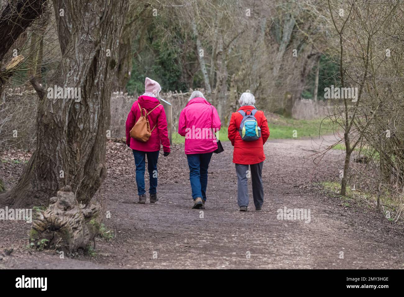 Drei Frauen auf einem Winterspaziergang in bunten Mänteln, Berkshire, England, Großbritannien Stockfoto