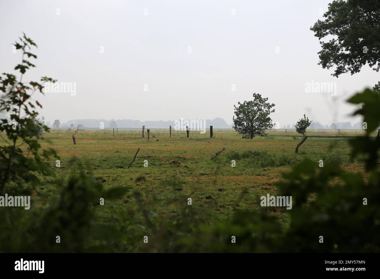 Herbstlandschaft bei Sonnenaufgang mit Nebel Stockfoto