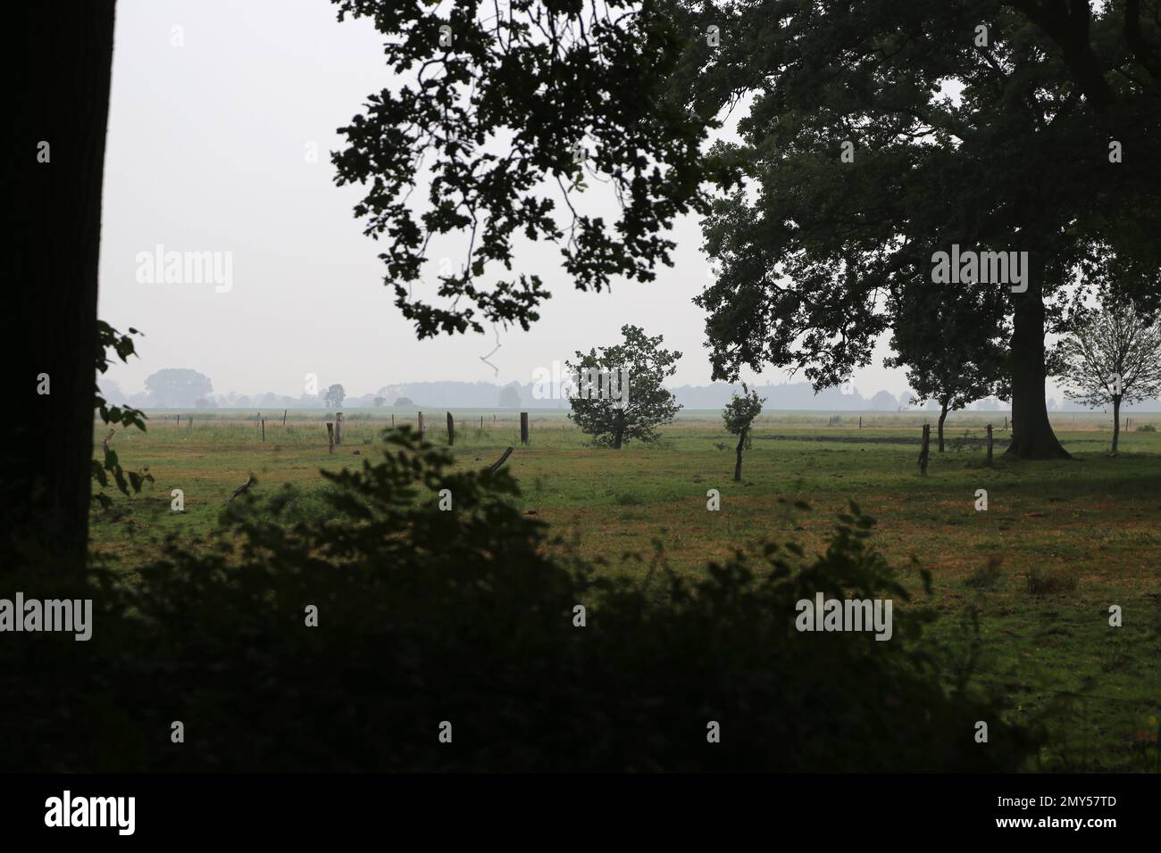 Herbstlandschaft bei Sonnenaufgang mit Nebel Stockfoto