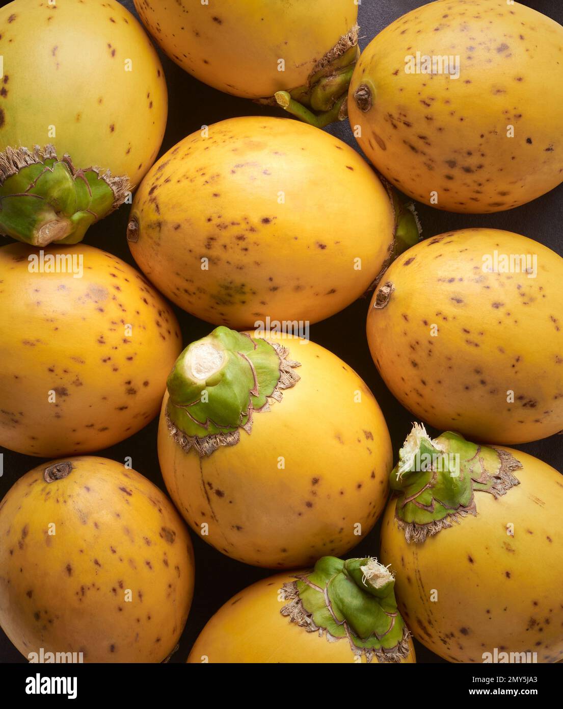 Areka-Nüsse aus frischen und gelben Hülsen, Früchte der Areka-Palme, Areka-Nuss- oder Betelpalme, Nahaufnahme tropischer und kommerziell wichtiger Früchte Stockfoto