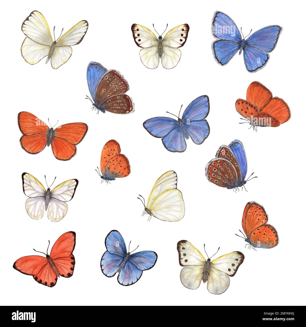 Eine Gruppe von Aquarellen verschiedener Schmetterlinge (Kupfer, knappes Kupfer, pieridae), isoliert auf weißem Hintergrund. Perfekt für Tapeten, Druck, Textilien, Kinderzimmer Stockfoto