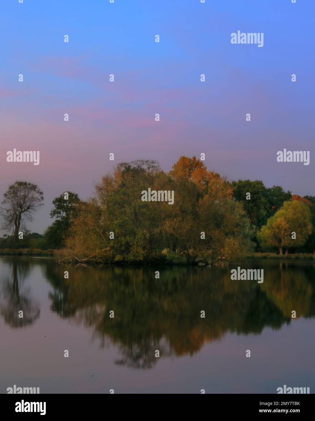 Bäume auf einem rosa getönten See in Richmond, London Stockfoto
