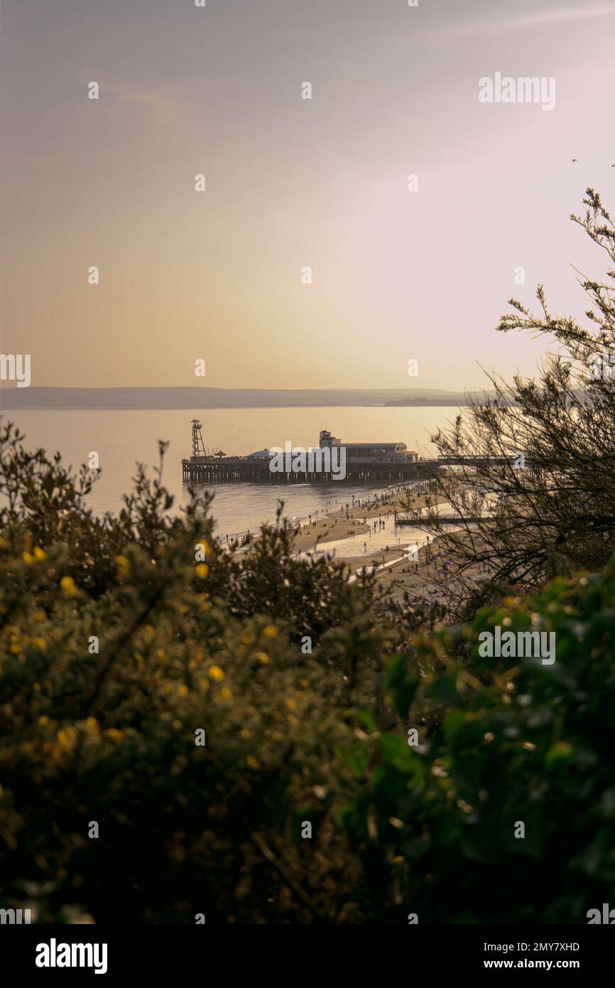 Bournemouth Pier aus der Ferne, eingerahmt von Vegetation bei Sonnenuntergang Stockfoto