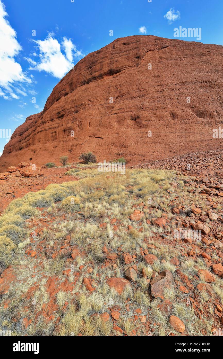 468 riesige Kuppel auf der Südseite der Walpa-Schlucht, vom Walpa Gorge Walk aus gesehen - Kata Tjuta. NT-Australien. Stockfoto