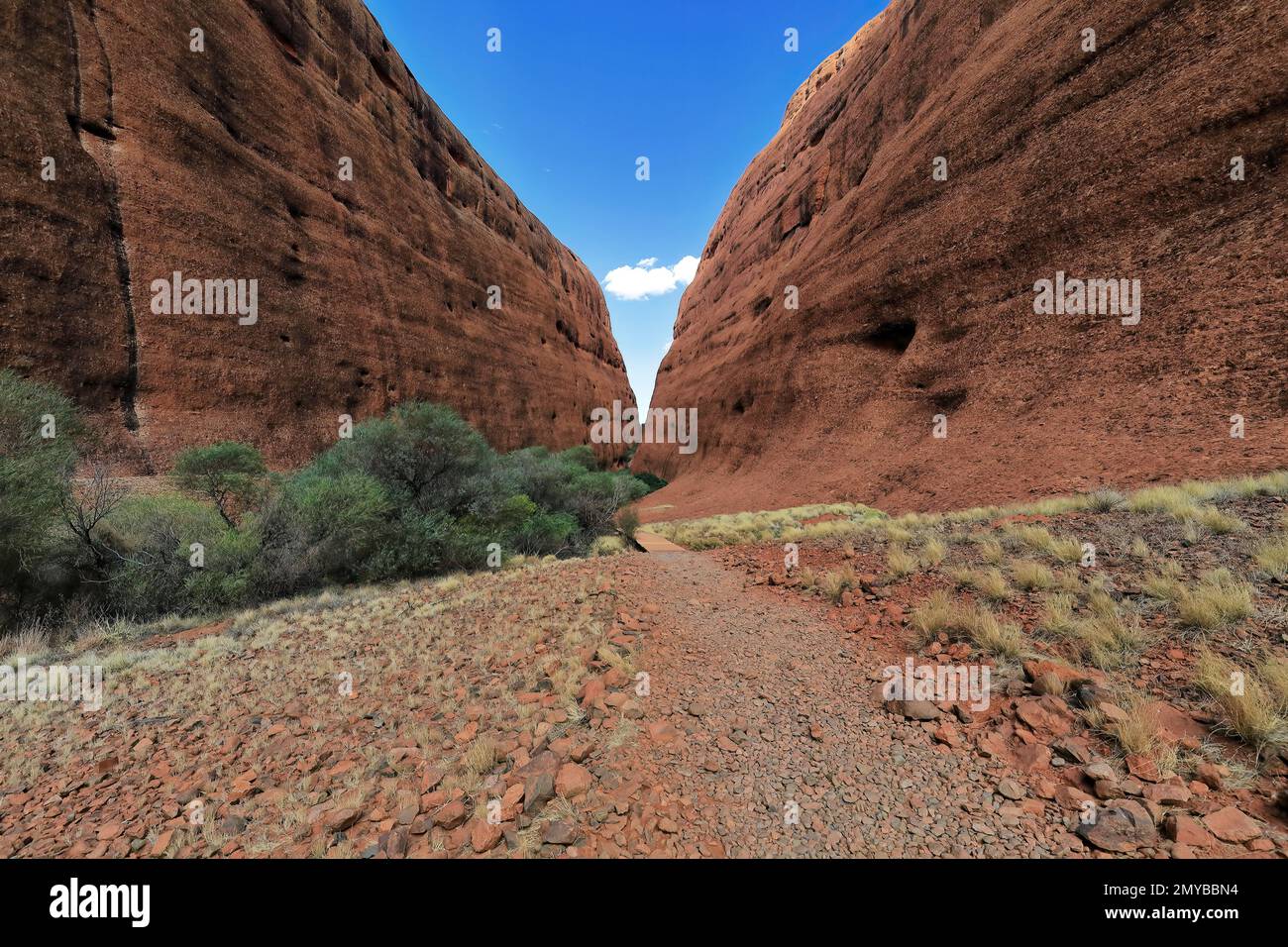 471 steile Klippen der Kuppeln, die die Walpa-Schlucht umgeben, vom Spaziergang entlang der Schlucht Kata Tjuta aus gesehen. NT-Australien. Stockfoto