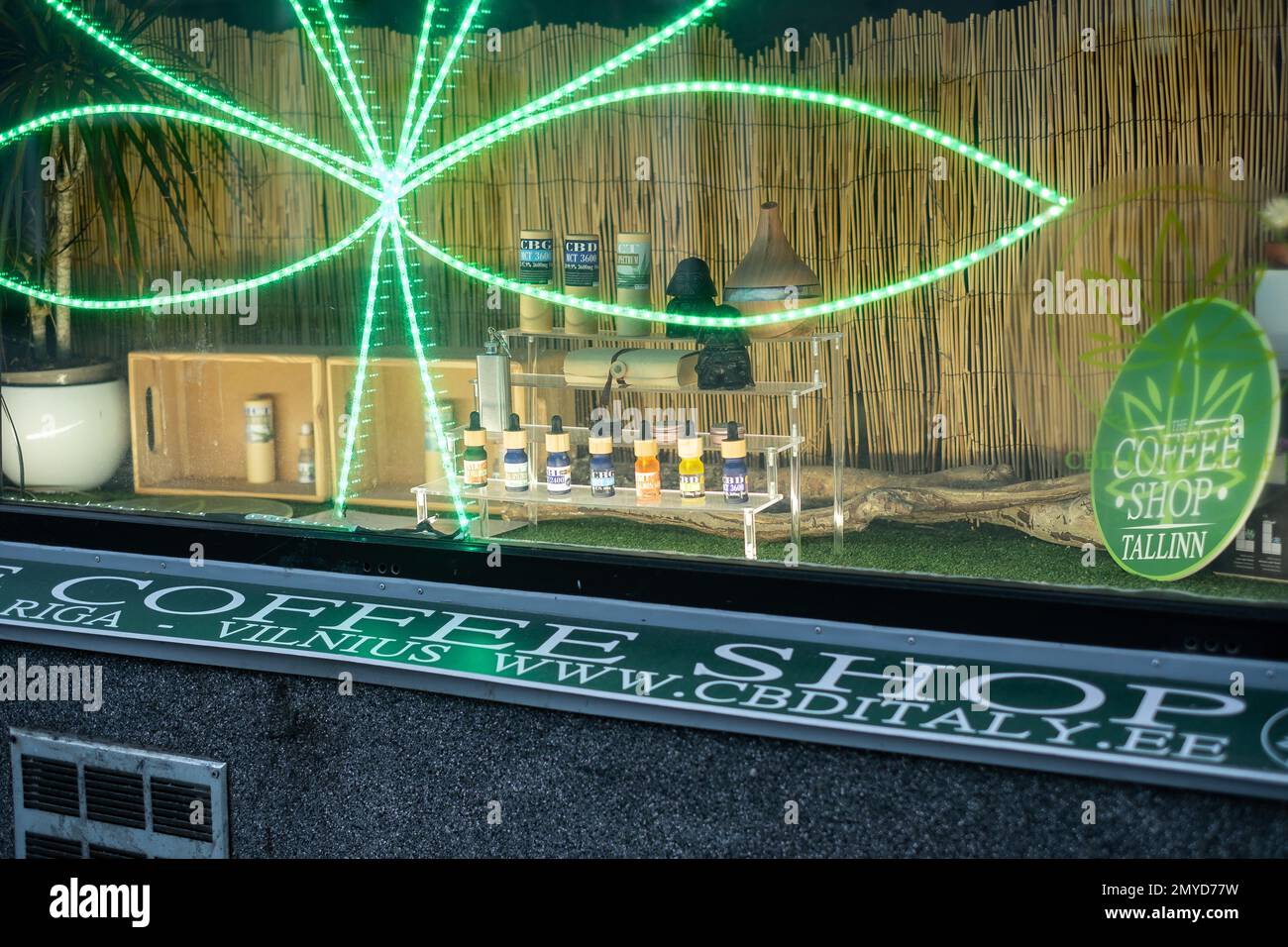 Tallinn, Estland - 4. Februar 2023: Schaufenster des CBD-Shops in Tallinn mit legalen CBD-Ölen und anderen Hanfprodukten. Stockfoto