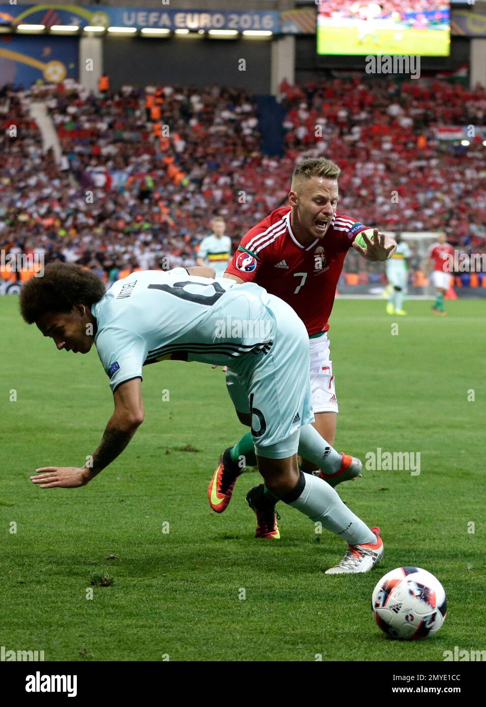 Belgium's Axel Witsel, left, and Hungary's Balazs Dzsudzsak fight for the ball during the Euro 2016 round of 16 soccer match between Hungary and Belgium, at the Stadium municipal in Toulouse, France, Sunday, June 26, 2016. (AP Photo/Petr David Josek) Stockfoto