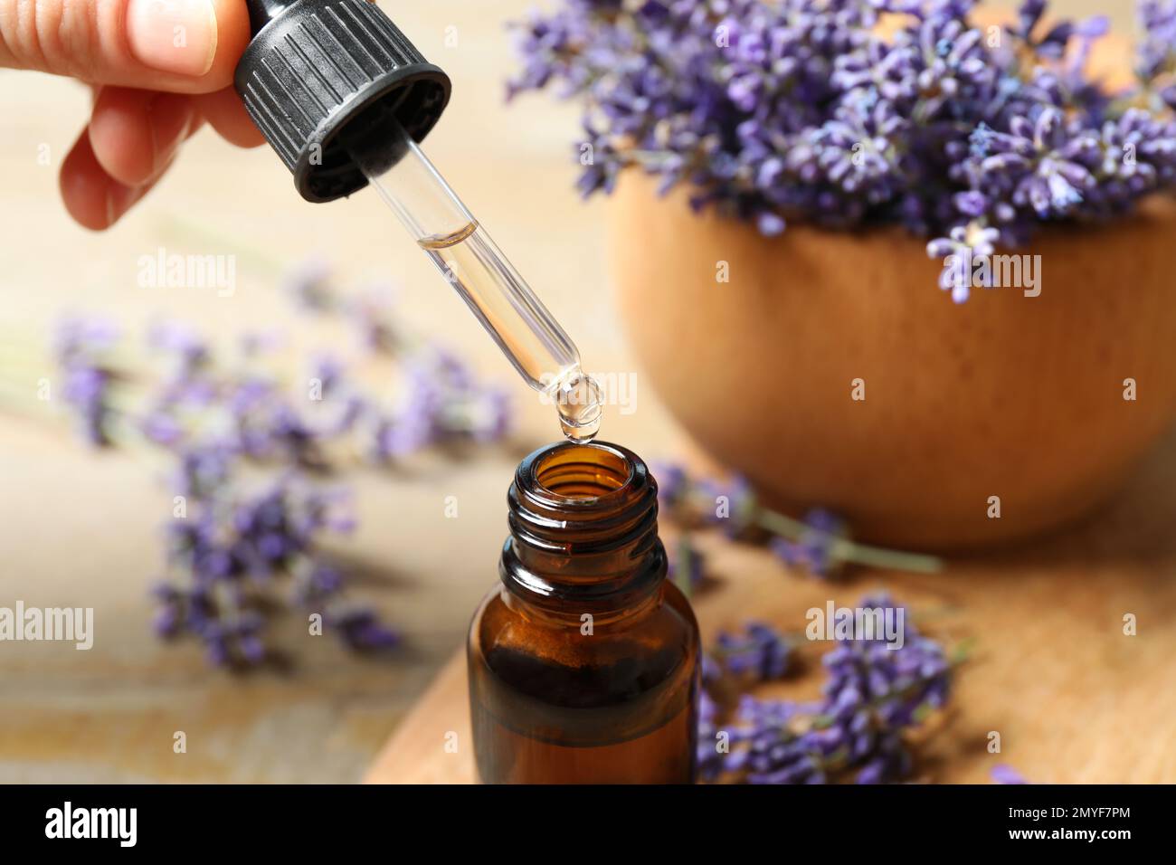 Eine Frau tropft ätherisches Lavendelöl in die Flasche Stockfoto
