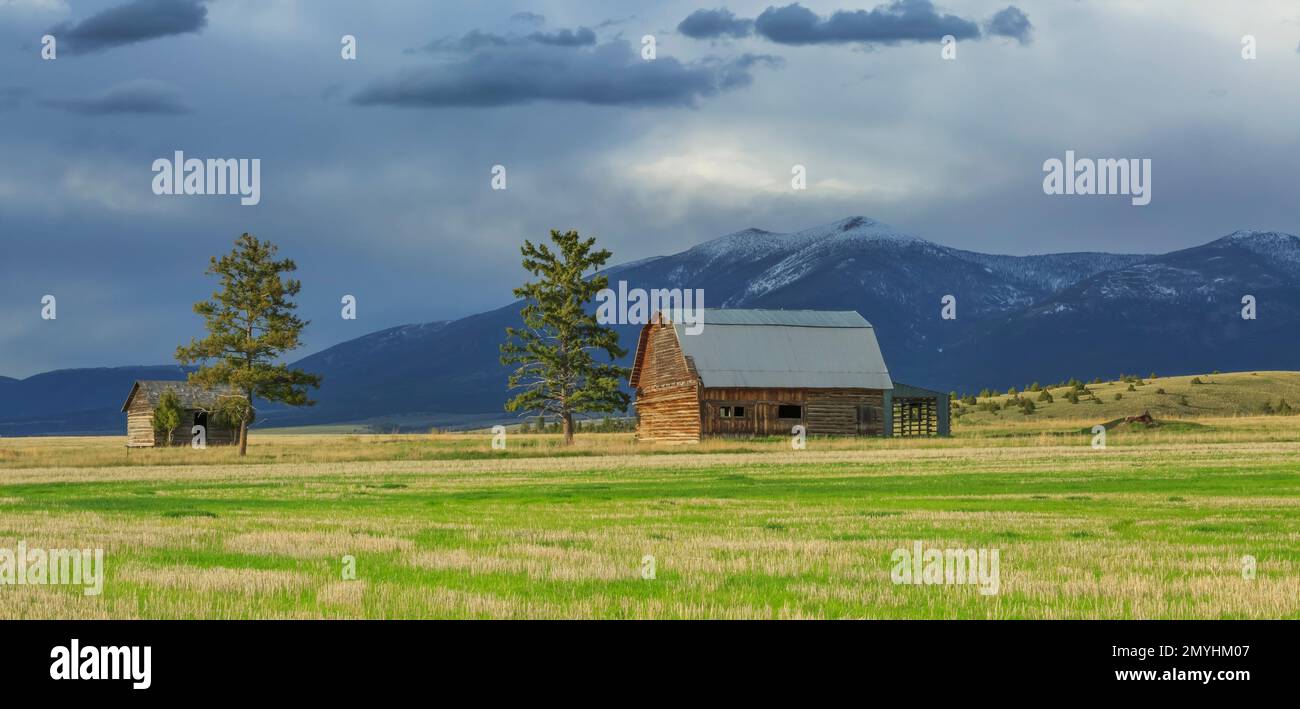 Panoramablick auf eine alte Scheune und Hütte unter dem Mount Baldy in der Nähe von townsend, montana Stockfoto