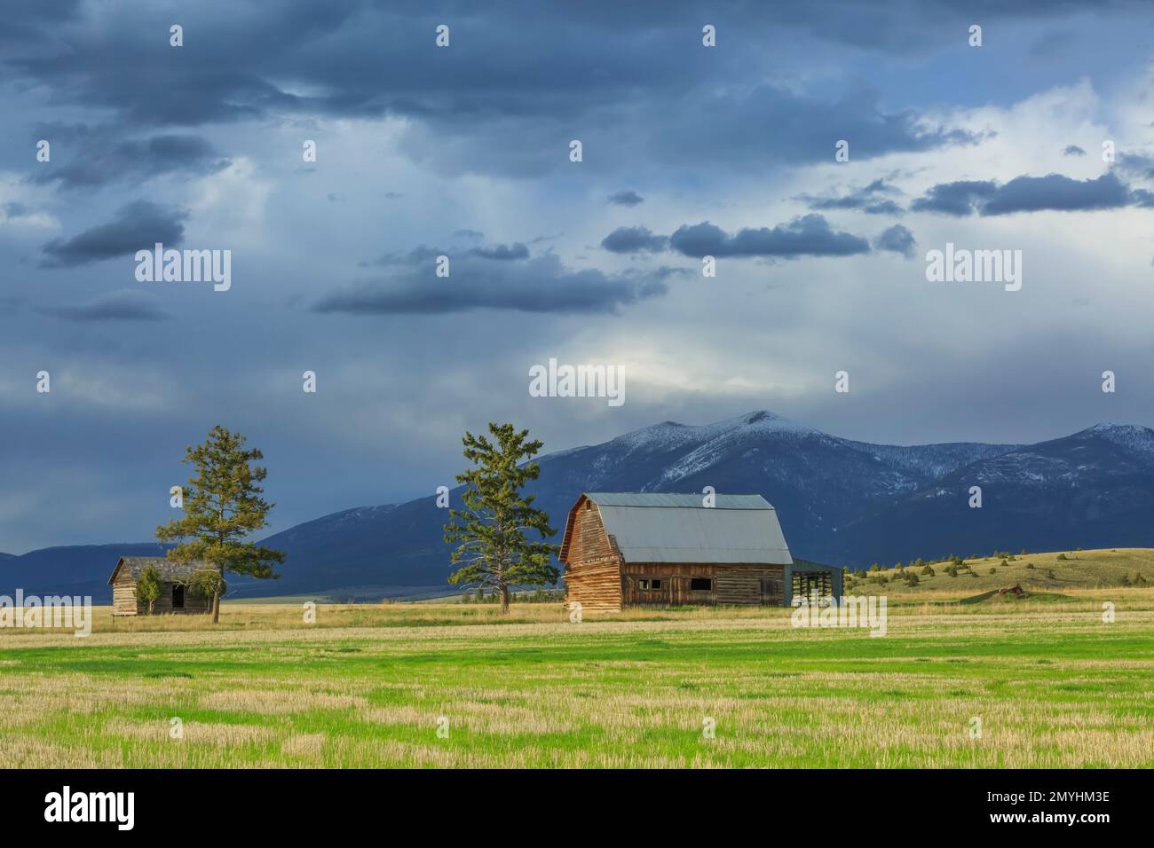 Alte Scheune und Hütte unter Mount Baldy in der Nähe von townsend, montana Stockfoto
