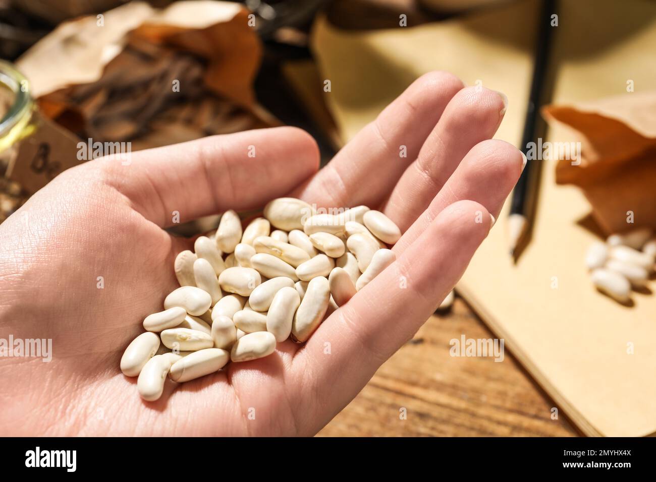 Eine Frau mit einem Haufen Bohnen, Nahaufnahme. Gemüsesamen Stockfoto