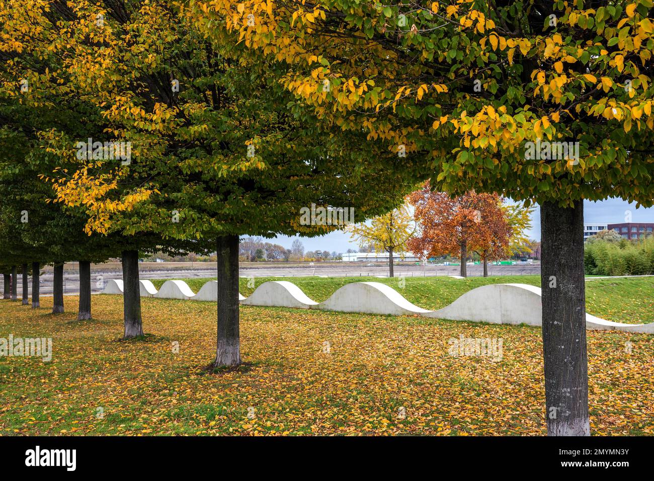 Bäume mit Herbstblättern, Garden of Memories, Inner Harbour, Duisburg, Ruhrgebiet, Nordrhein-Westfalen, Deutschland, Europa Stockfoto
