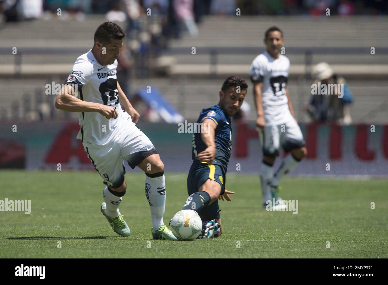 Pumas' Dante Lopez, left, fights for the ball with America's Jose Guerrero during a Mexican soccer league match in Mexico City, Sunday, May 8, 2016. (AP Photo/Christian Palma) Stockfoto