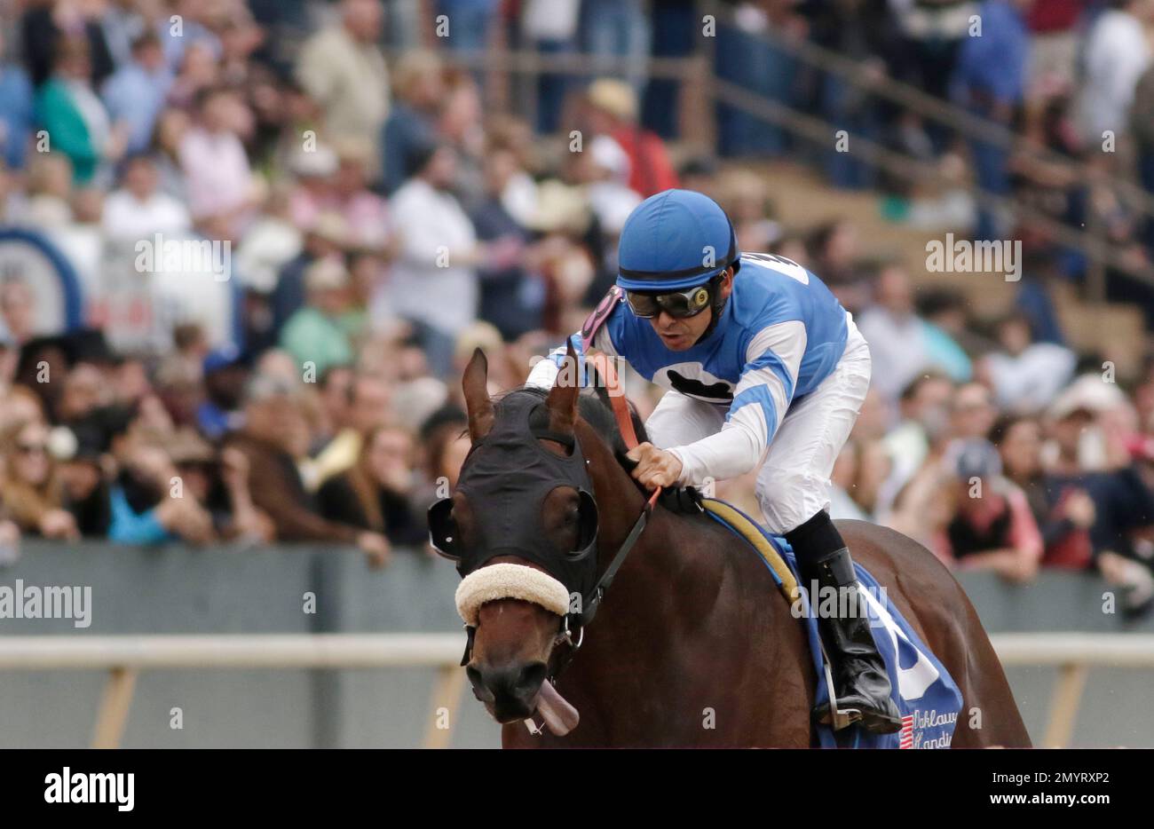 Jockey Mike Smith raises up on Effinex after winning the Oaklawn
