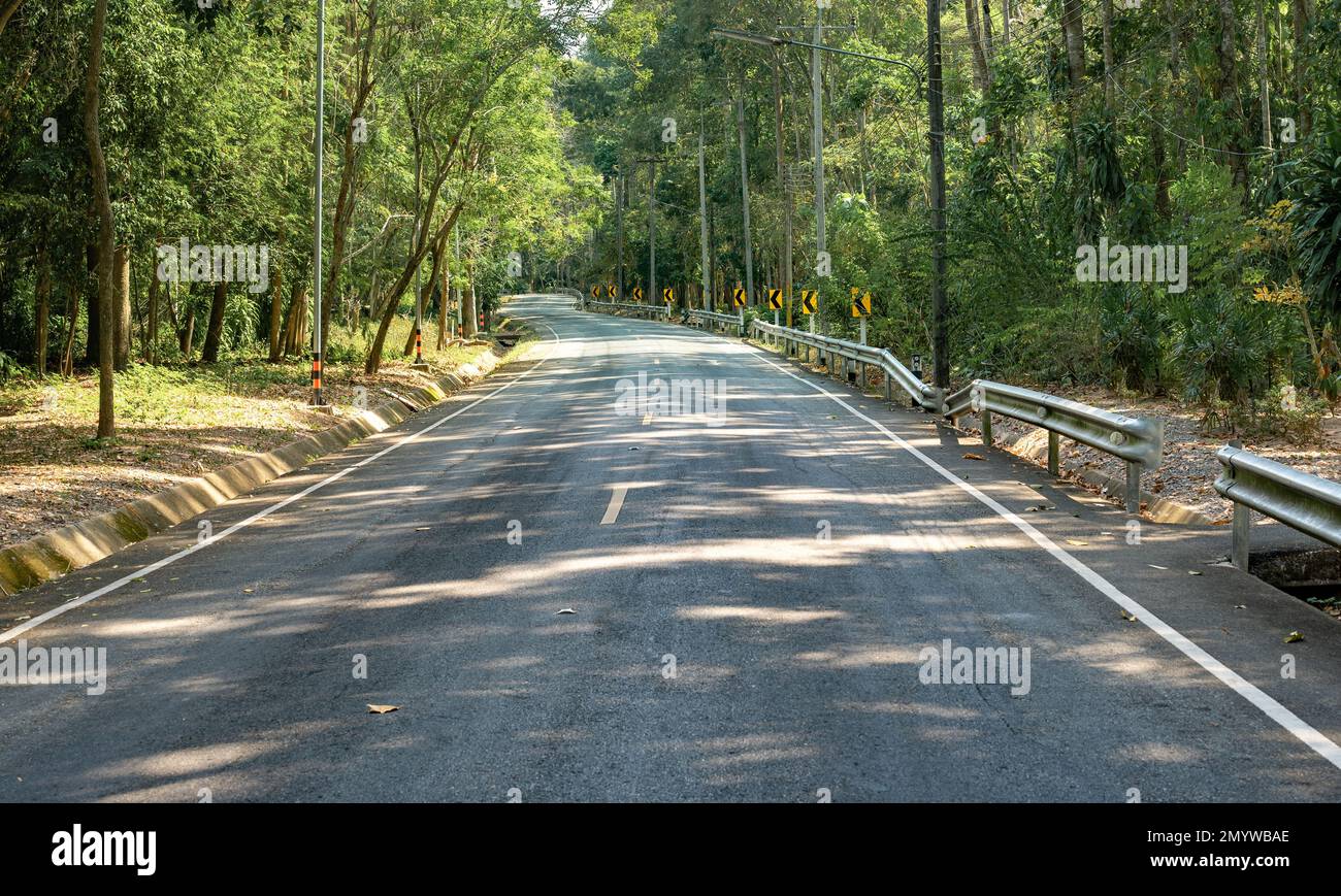 Asphaltstraße im Wald. Gewölbte Straße, Bäume mit grünem Laub an sonnigen Tagen. Landschaft mit leerer Asphaltstraße durch Wälder im Sommer Stockfoto
